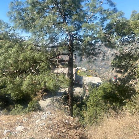 Aditya Homestay Далхаузи Экстерьер фото