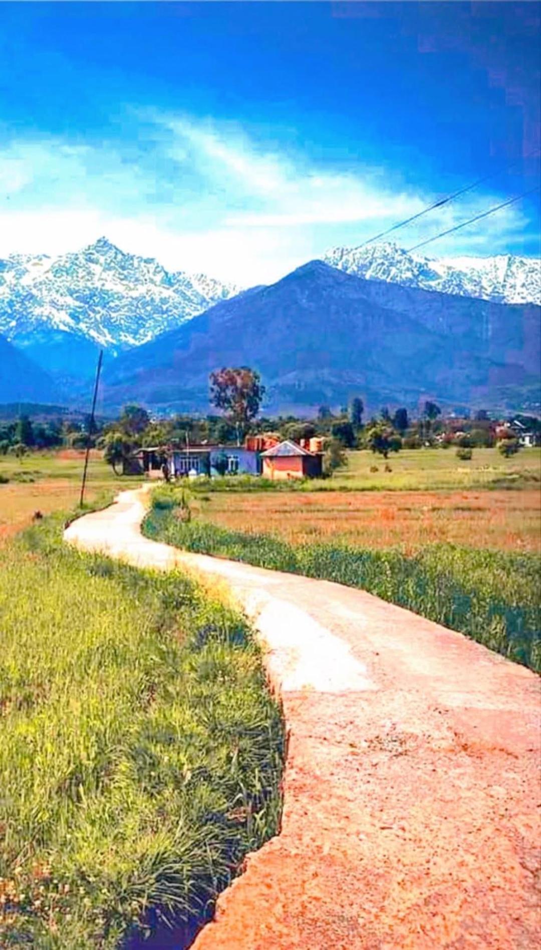 Aditya Homestay Далхаузи Экстерьер фото