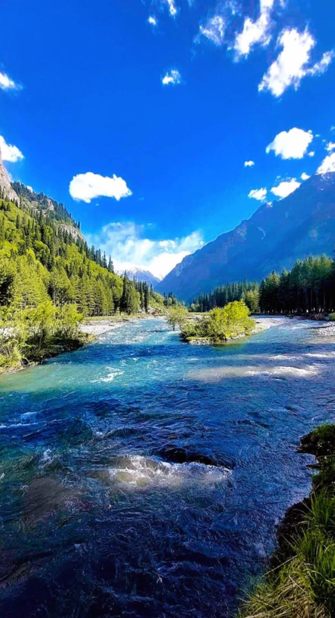 Aditya Homestay Далхаузи Экстерьер фото