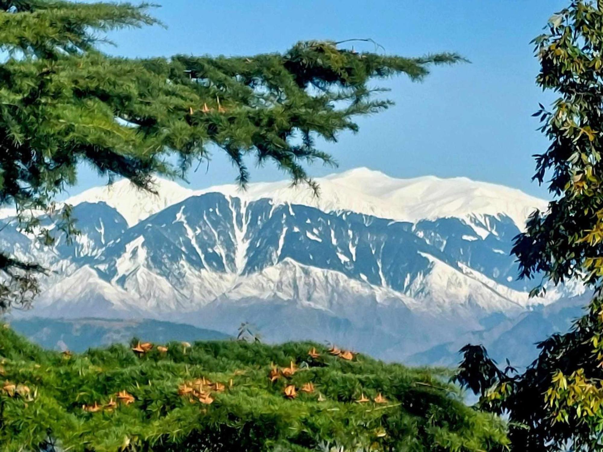 Aditya Homestay Далхаузи Экстерьер фото