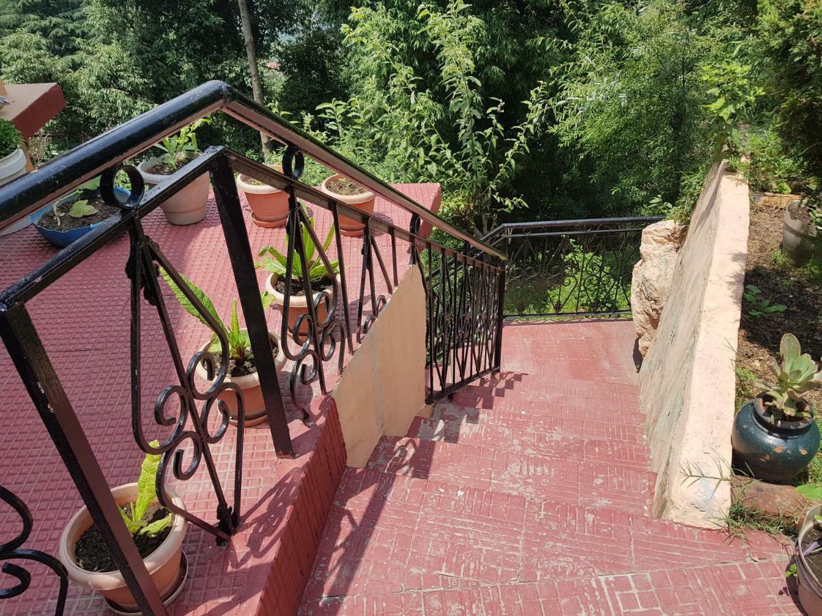 Aditya Homestay Далхаузи Экстерьер фото